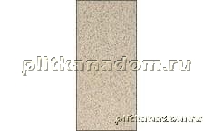 Rako Taurus Granit TSPEM073 Nevada Плинтус 20x9 см