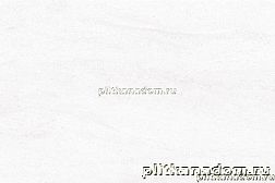 Venis Madagascar Blanco Керамогранит 44,3x44,3 см