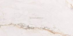 Pamesa Ceramica CR Pisa Gold Бежевый Полированный Керамогранит 75х150 см