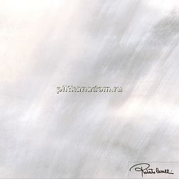 Roberto Cavalli Tanduk GRIGIO RETT FIRMA Декор 60x60 см