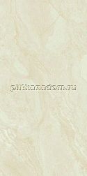 Foshan Vipo Marbles SH126G205 Full Body Rect. Керамогранит 60x120 см
