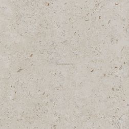 Kerama Marazzi Про Лаймстоун DD641120R Бежевый Темный Натуральный Обрезной Керамогранит 60х60 см