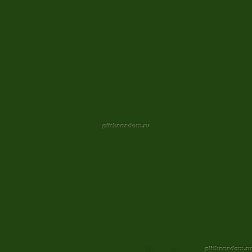 Hitom Ceramics Monocolor PC60455S-A зеленый Керамогранит 60x60 см