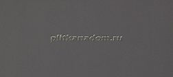 Casalgrande Padana Architecturе Gloss Dark Grey 10,5мм Керамогранит 15х60 см