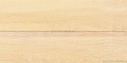 Altacera Briole Wood WT9BRE11 Плитка настенная 24,9x50
