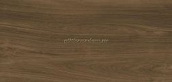 Urbatek X-Light Ewood Honey Nature G-2500 Коричневый Матовый Керамогранит 120x270 см