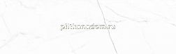 Aparici Vivid White Calacatta Белый Глянцевый Керамогранит 29,75x99,55 см